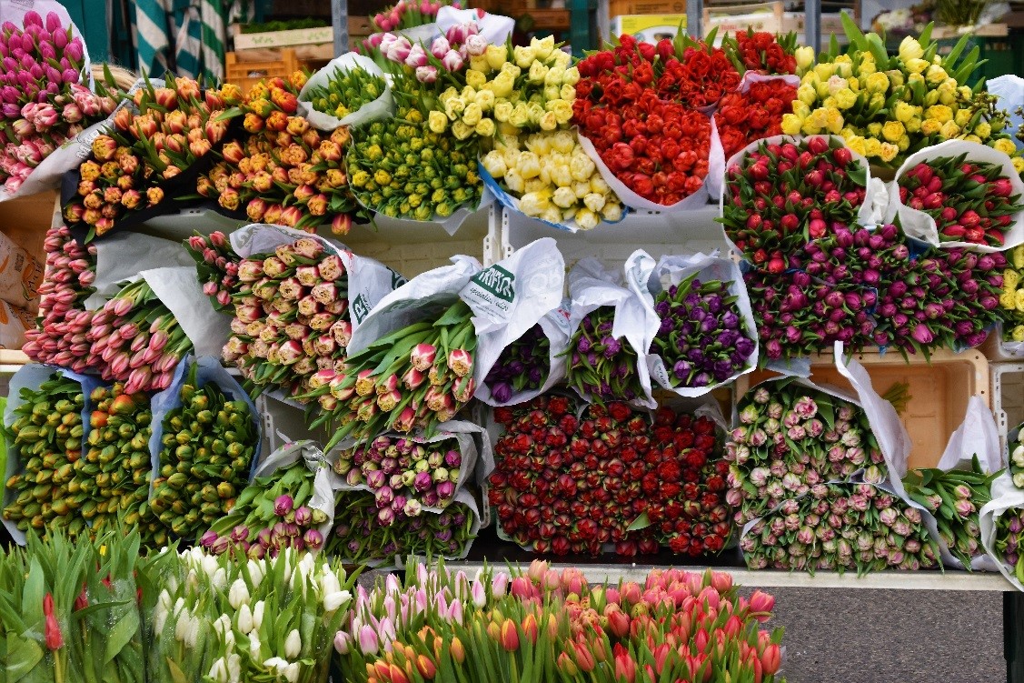 gare aux fleurs