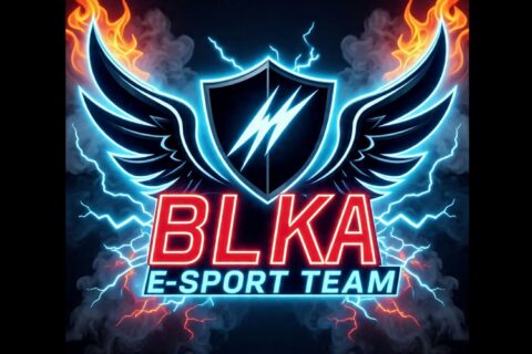 Une course d’endurance e-sport organisée par la Black Angels Racing Team